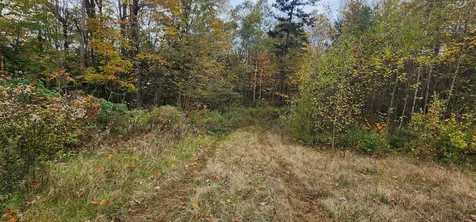 144 Nameless Road Roxbury VT 05669