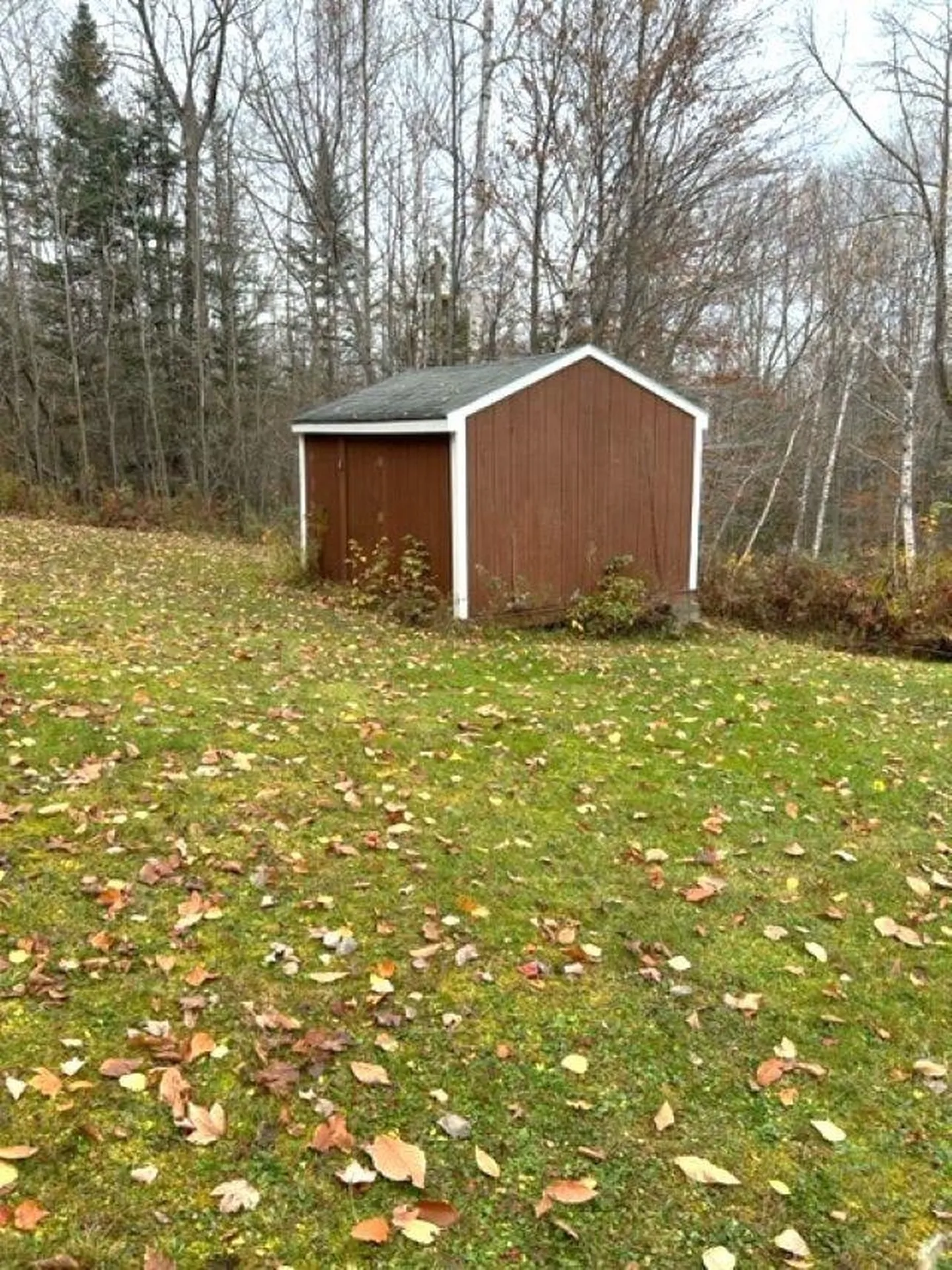 290 Tunnel Stream Road Benton NH 03785