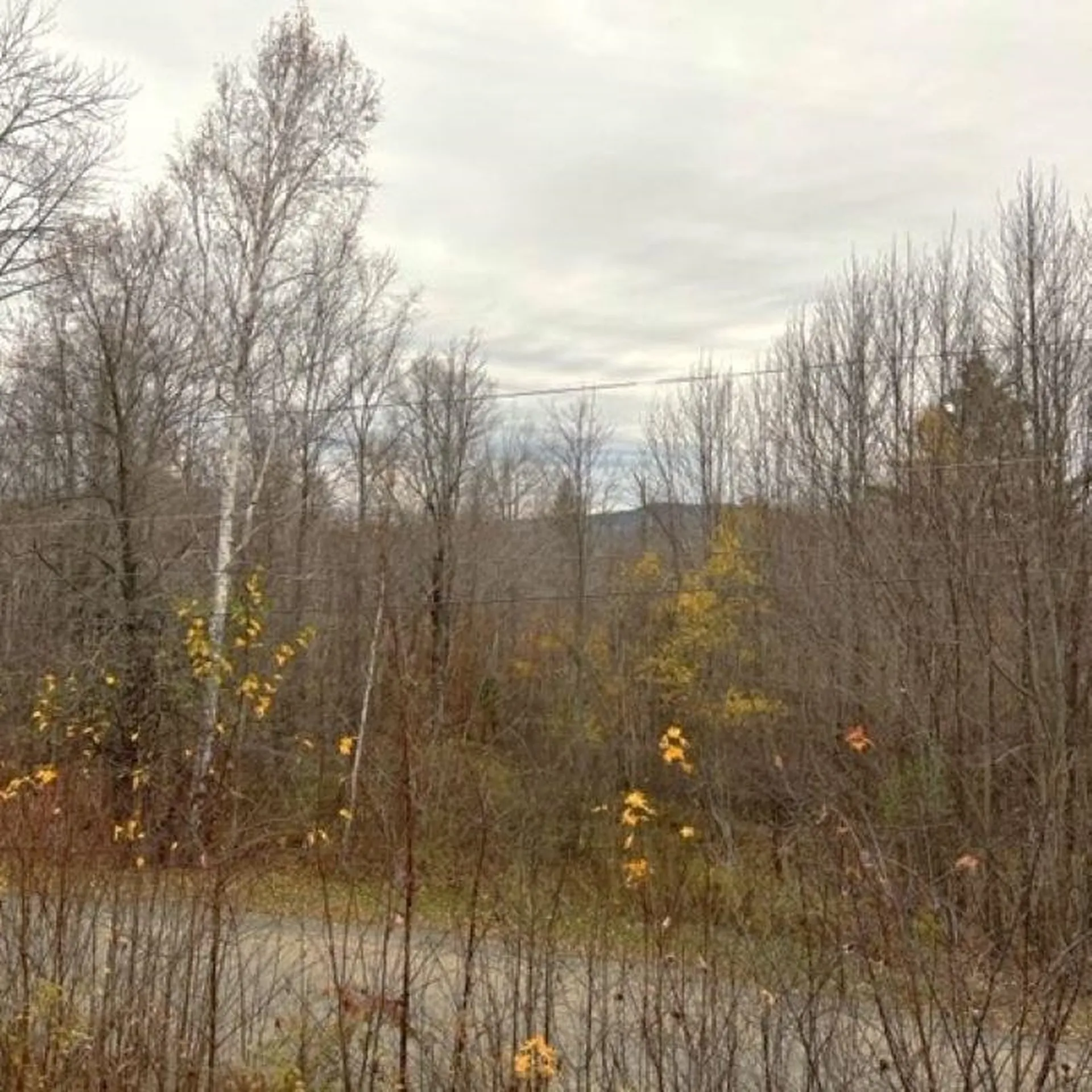 290 Tunnel Stream Road Benton NH 03785