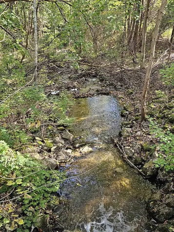 316 Chester Knoll Drive Bennington VT 05201