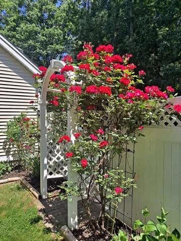 33 Quaker Lane Dover NH 03820