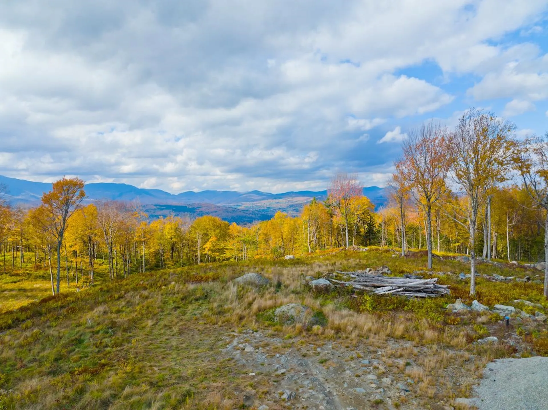 655 Cider Mountain Road Warren VT 05674