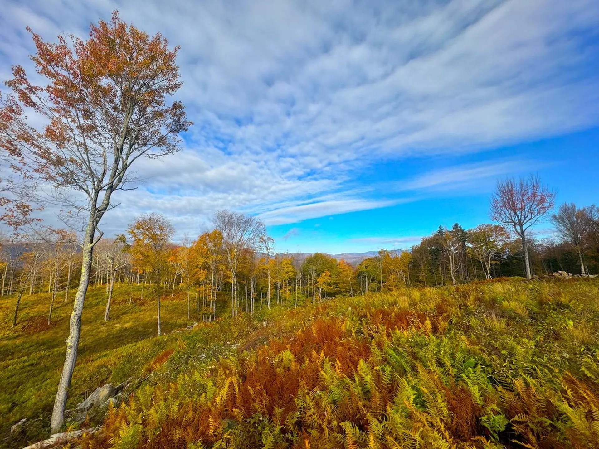 655 Cider Mountain Road Warren VT 05674