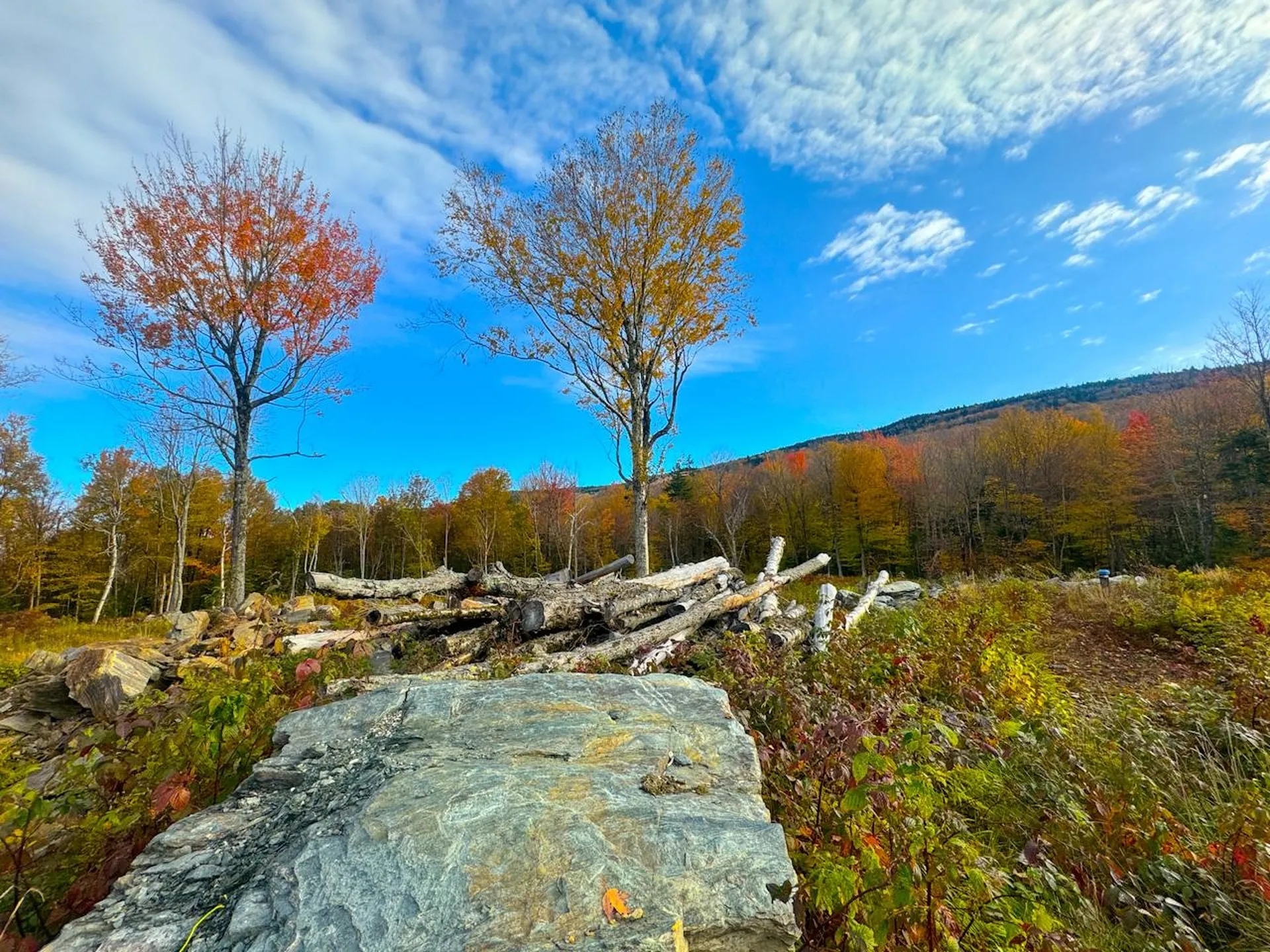 655 Cider Mountain Road Warren VT 05674