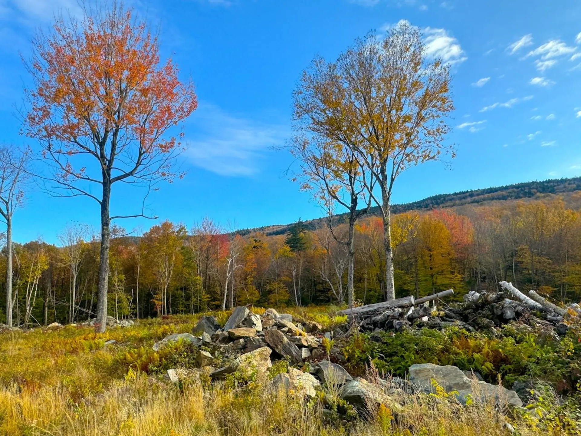 655 Cider Mountain Road Warren VT 05674