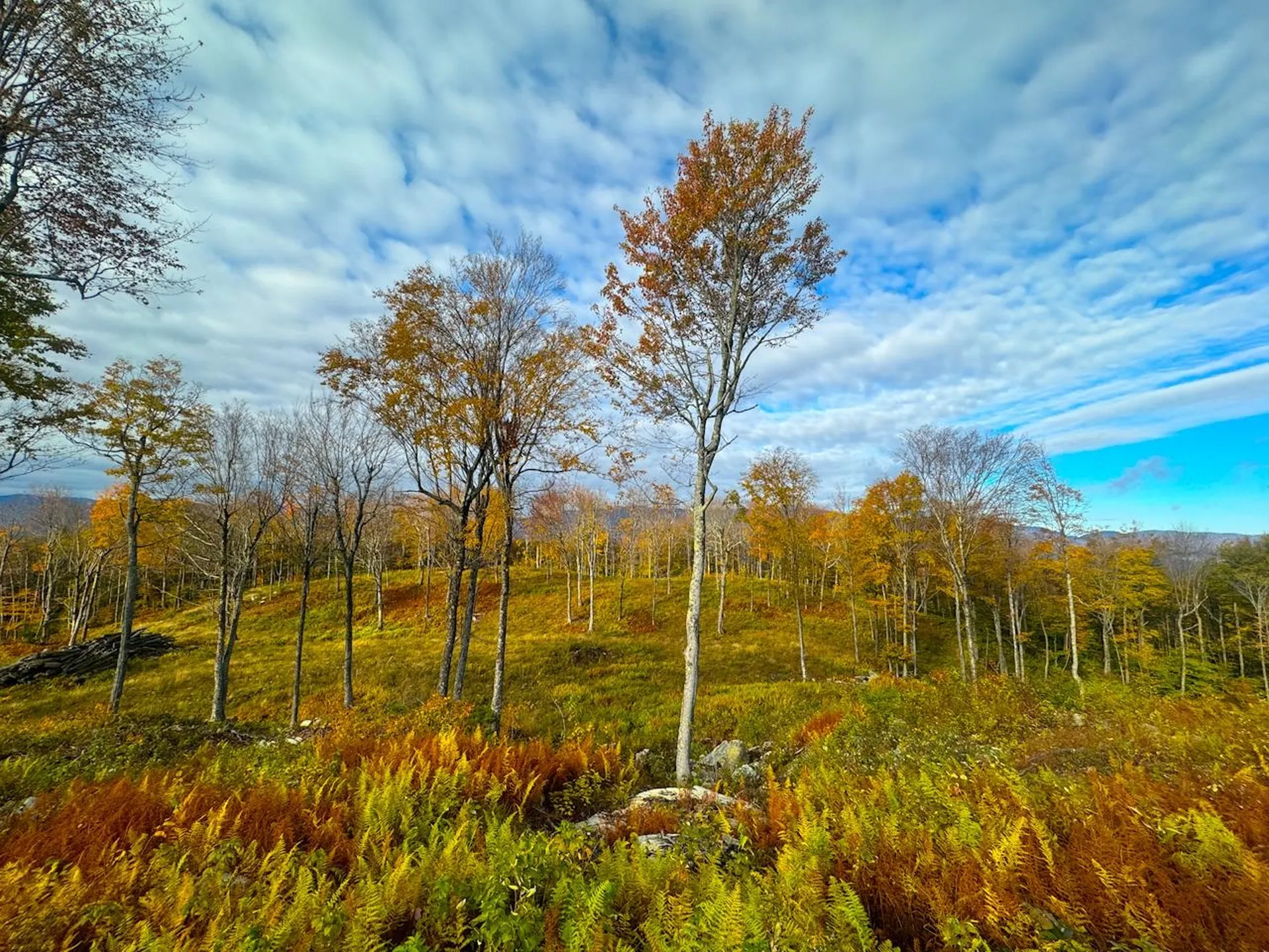 655 Cider Mountain Road Warren VT 05674