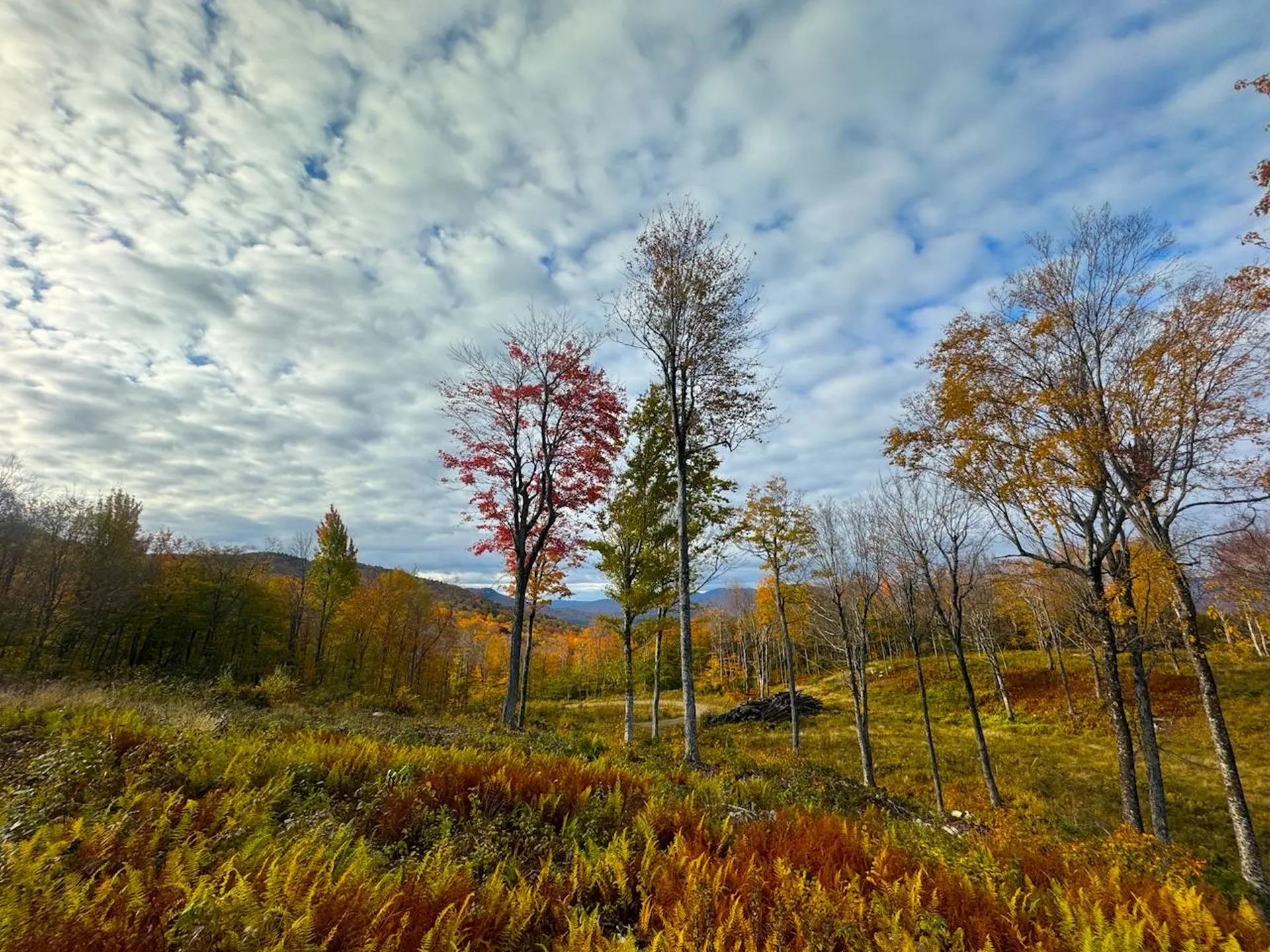 655 Cider Mountain Road Warren VT 05674
