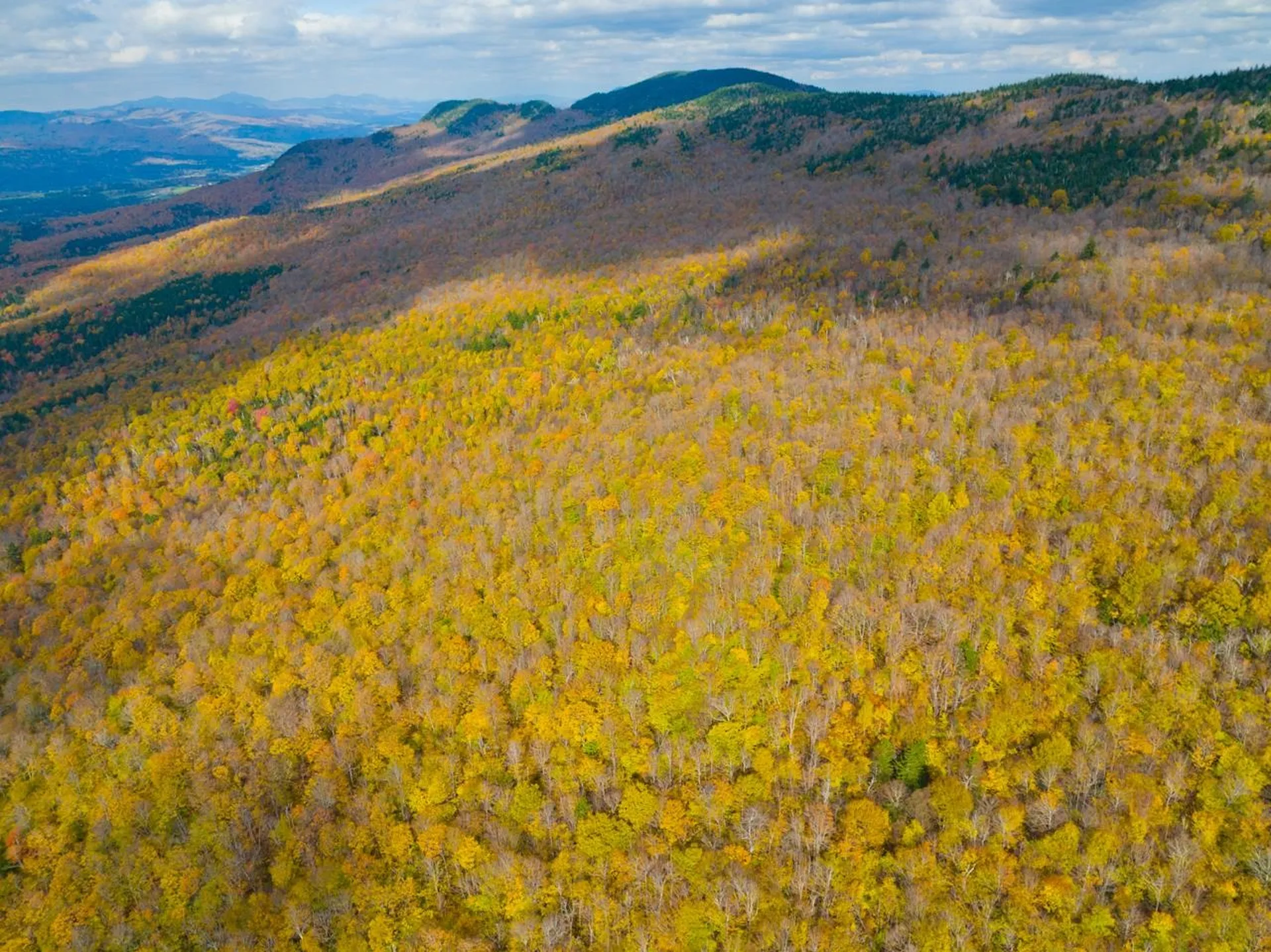 655 Cider Mountain Road Warren VT 05674