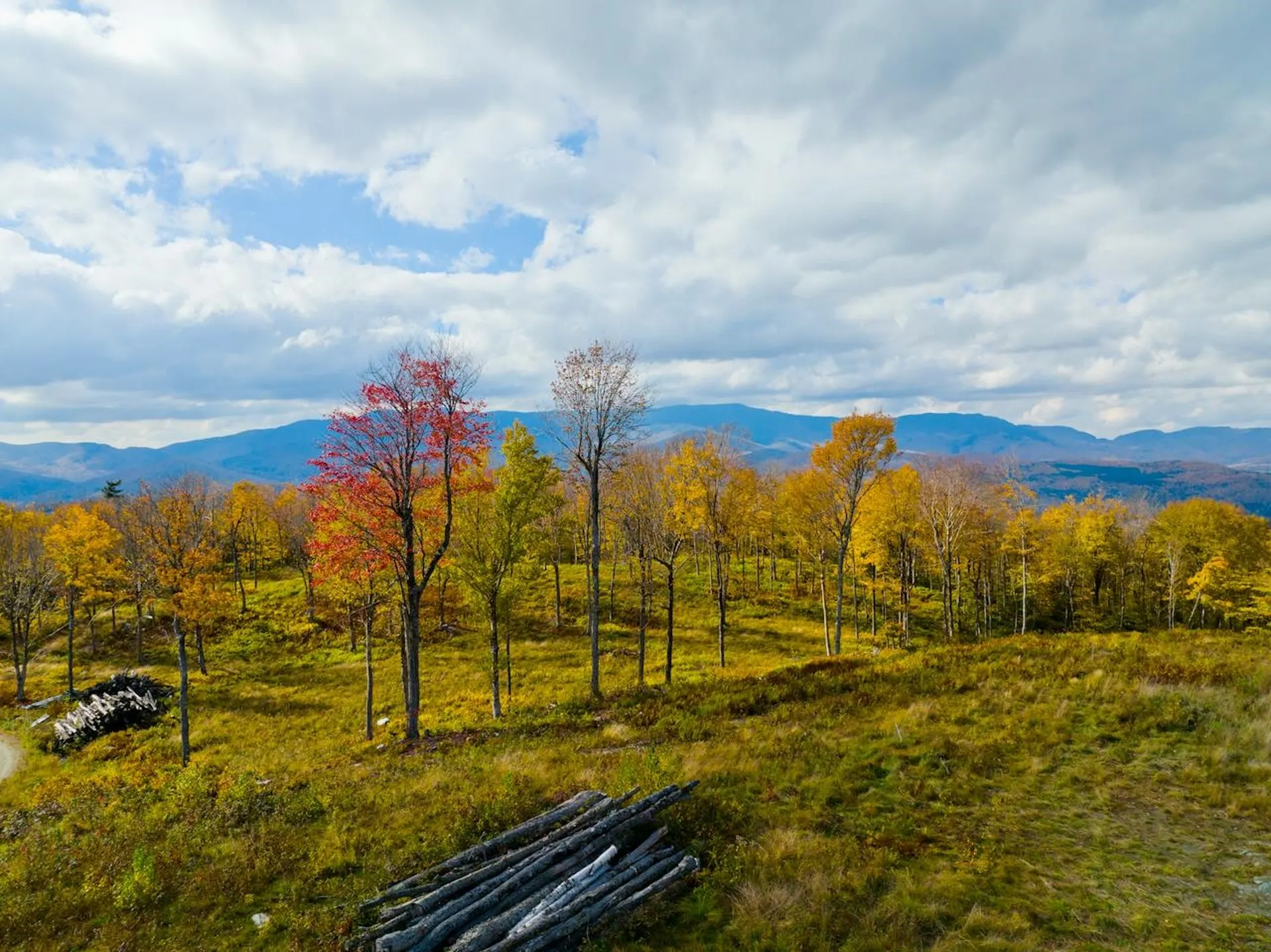655 Cider Mountain Road Warren VT 05674