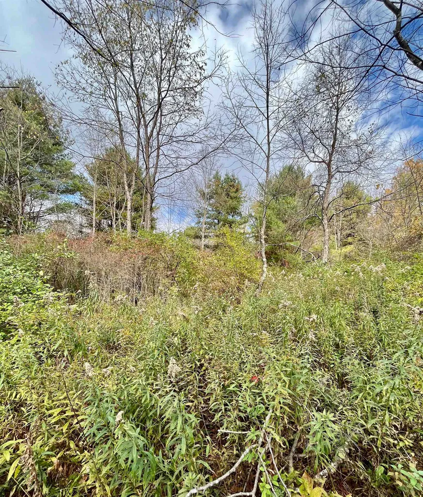 0 Mountain View Drive Arlington VT 05250