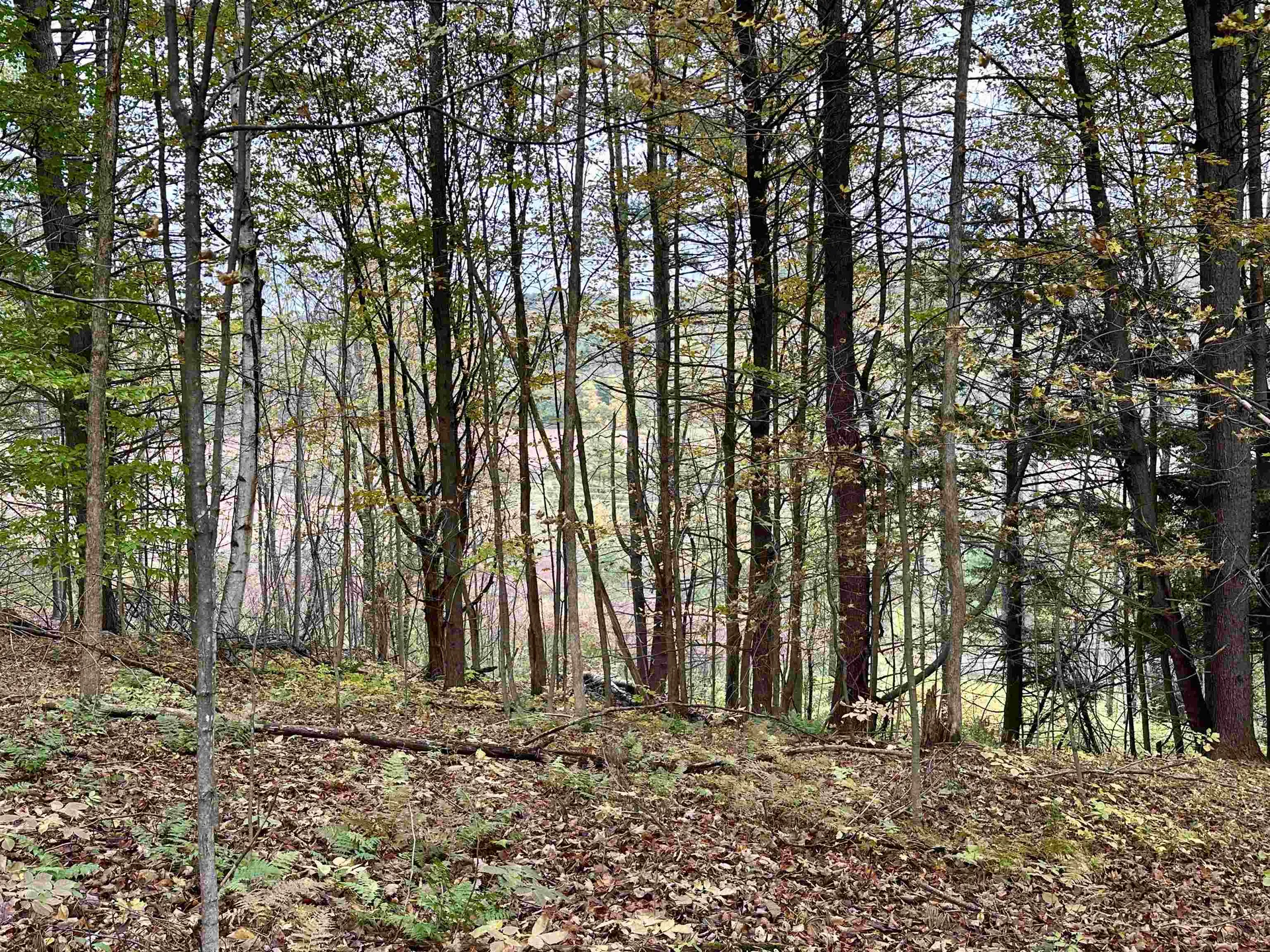 4357 Monkton Road Monkton VT 05469