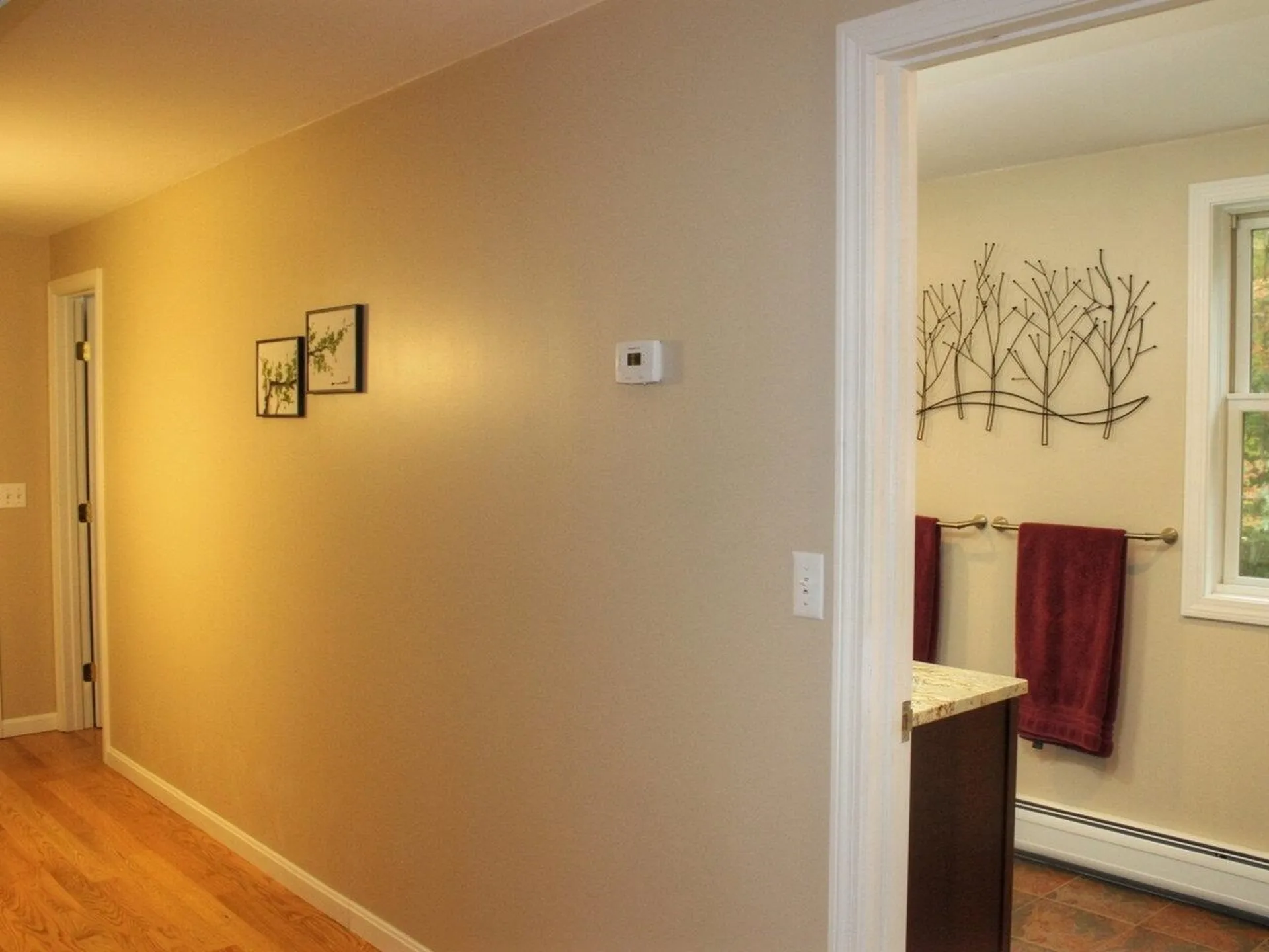 8 Southdown Court Essex Junction VT 05452