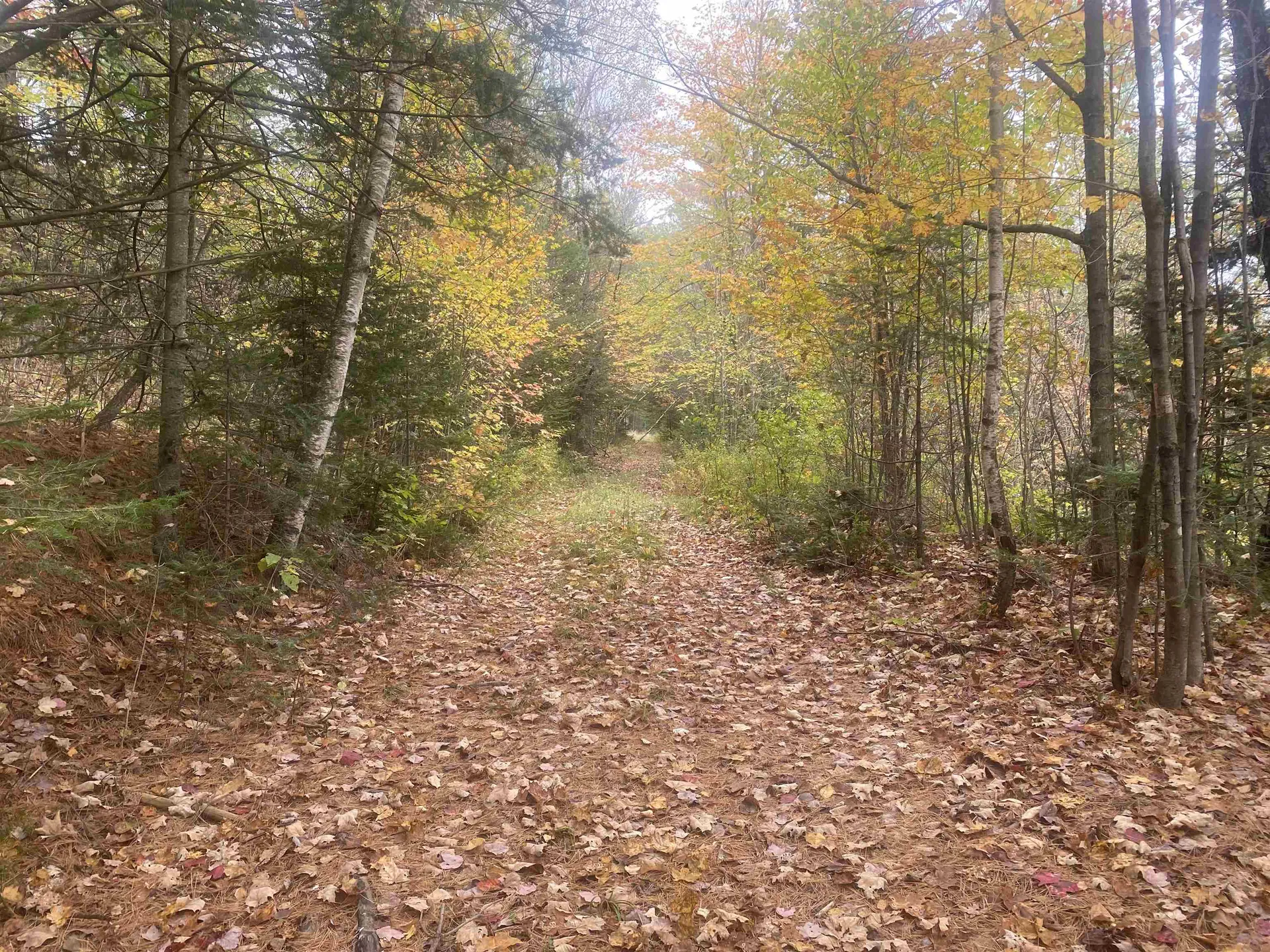 0 Ralph Road Brookfield VT 05036