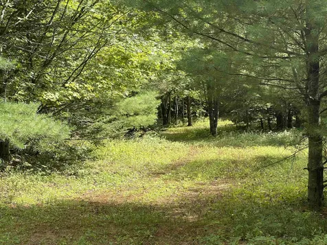 0 Ralph Road Brookfield VT 05036