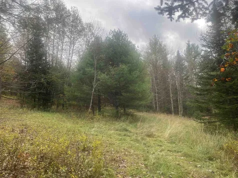 0 Ralph Road Brookfield VT 05036