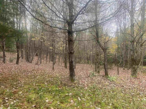 0 Ralph Road Brookfield VT 05036