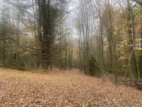 0 Ralph Road Brookfield VT 05036