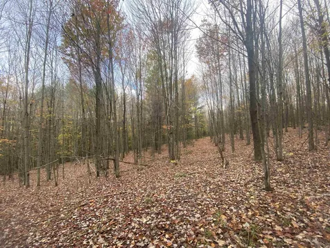 0 Ralph Road Brookfield VT 05036