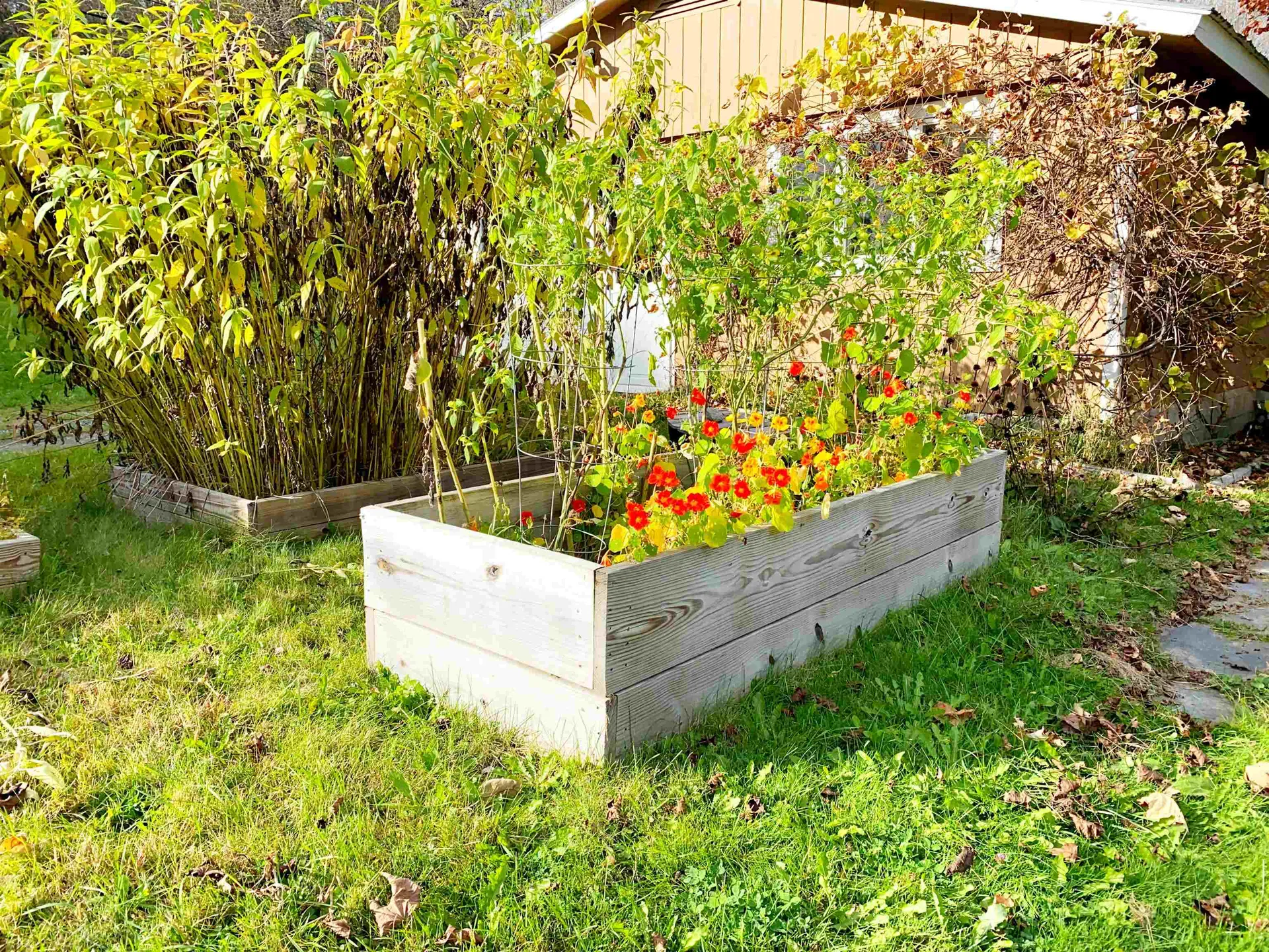 2030 Jones Brook Road Moretown VT 05602