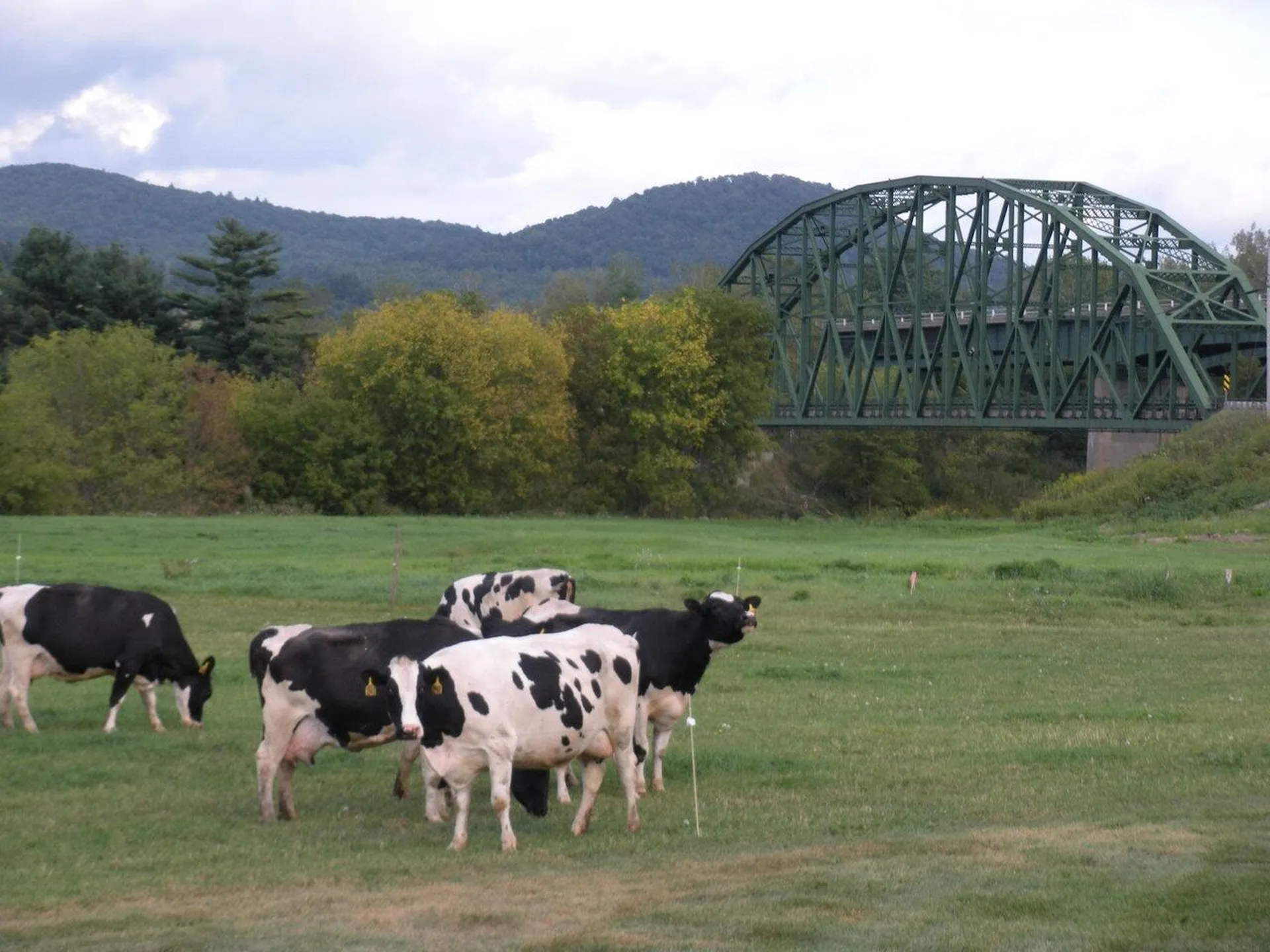 2168 Jericho Road Richmond VT 05477