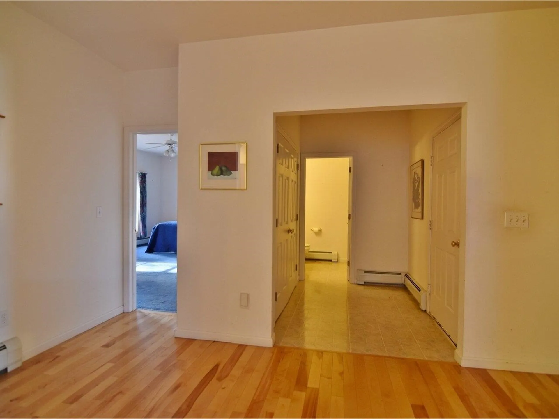 51 Ryan Place Colchester VT 05446