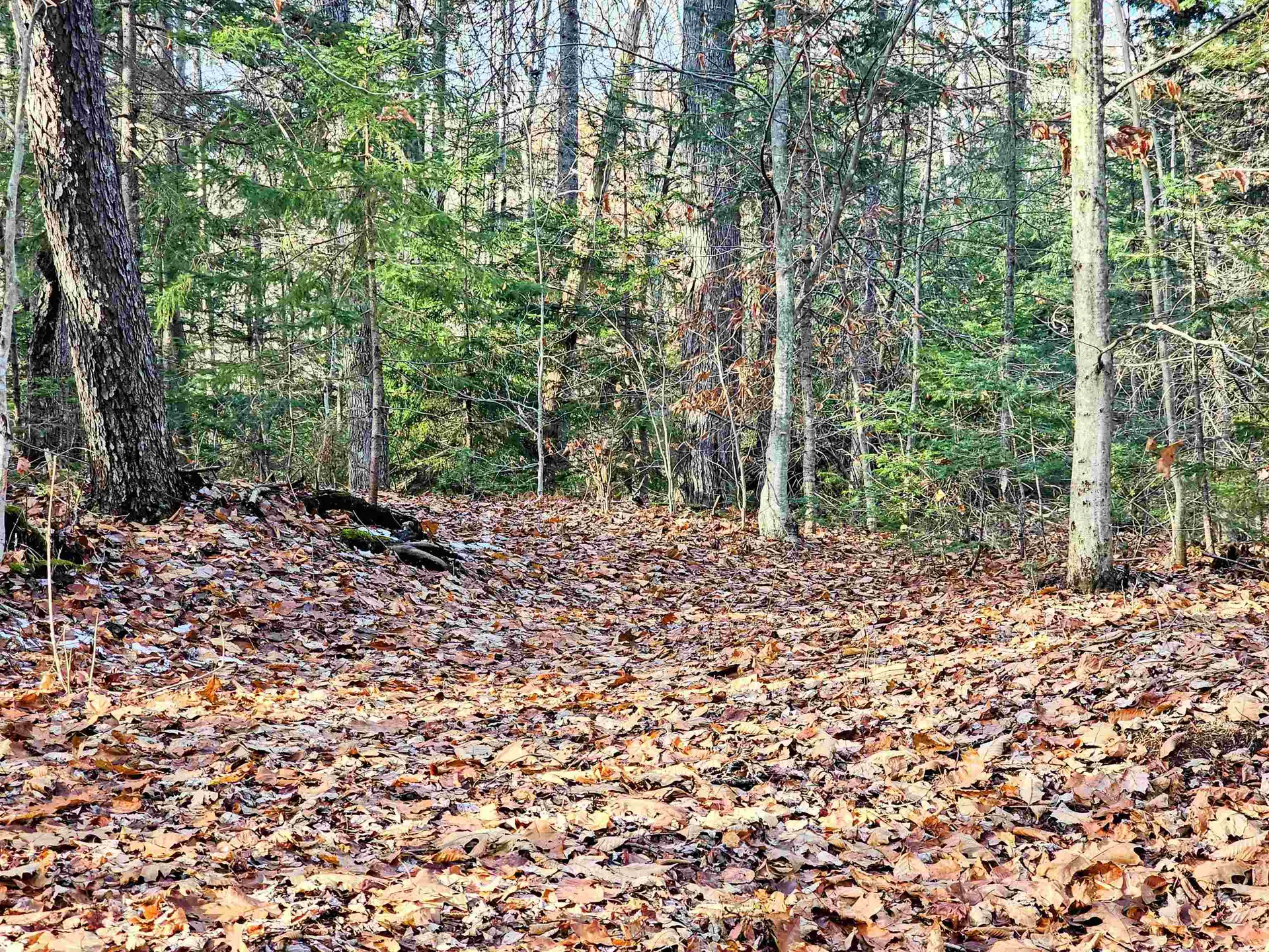 00 Stoni Woods Lane Wilmington VT 05363
