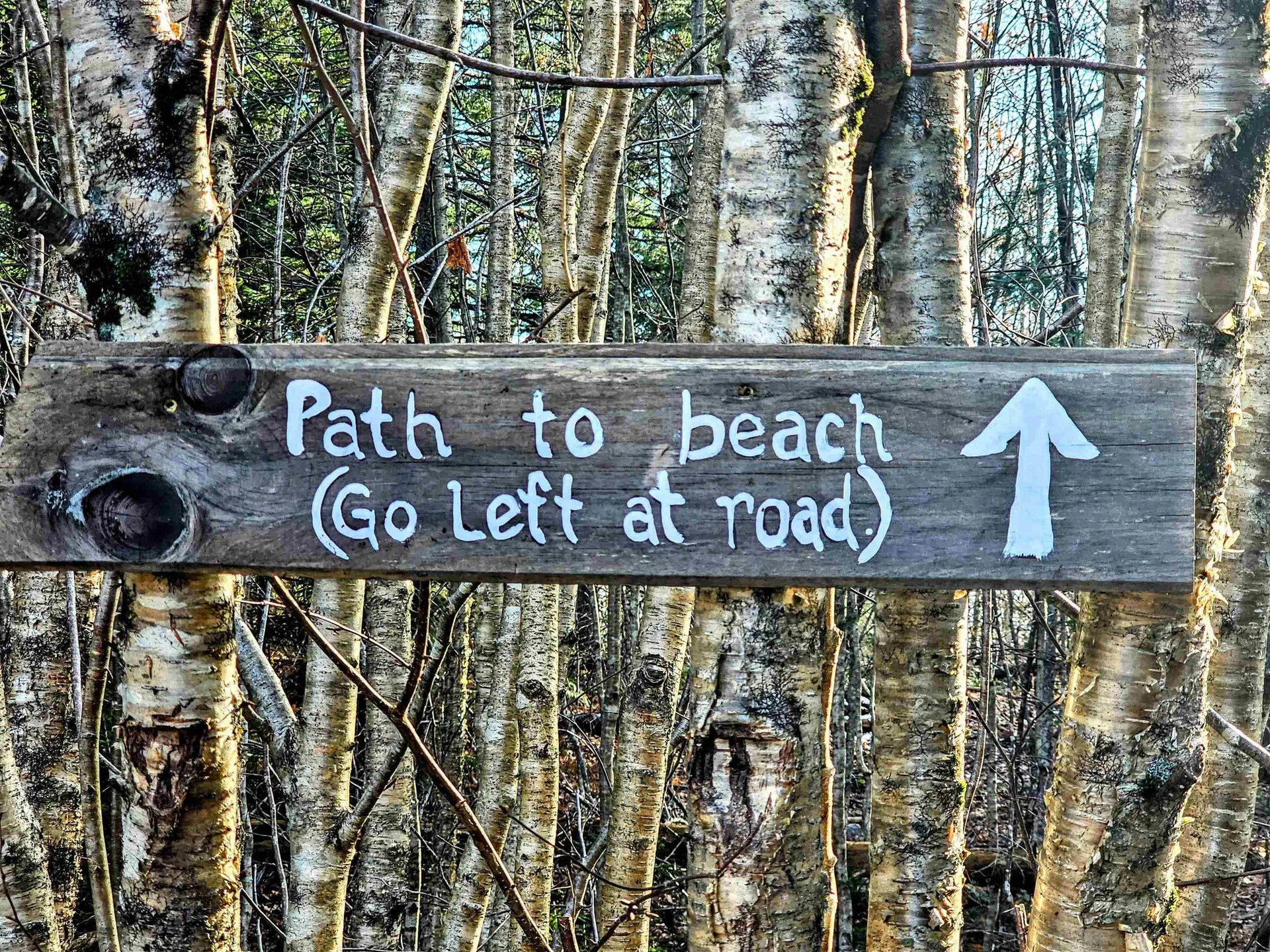 00 Stoni Woods Lane Wilmington VT 05363
