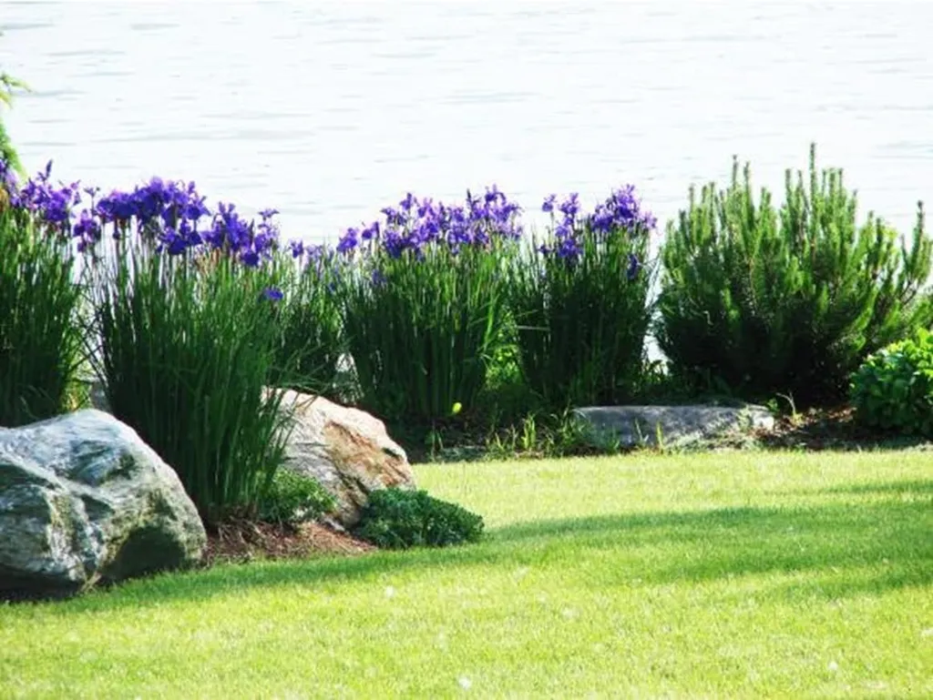 640 Converse Bay Road Charlotte VT 05445