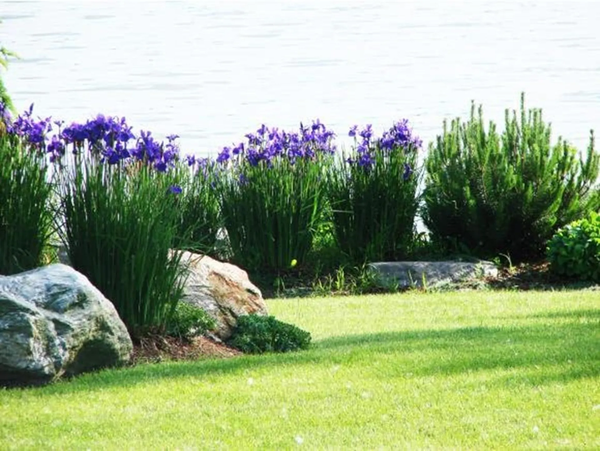 640 Converse Bay Road Charlotte VT 05445