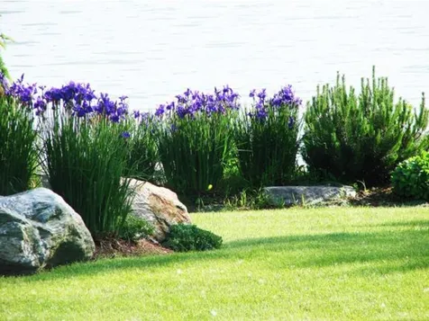 640 Converse Bay Road Charlotte VT 05445
