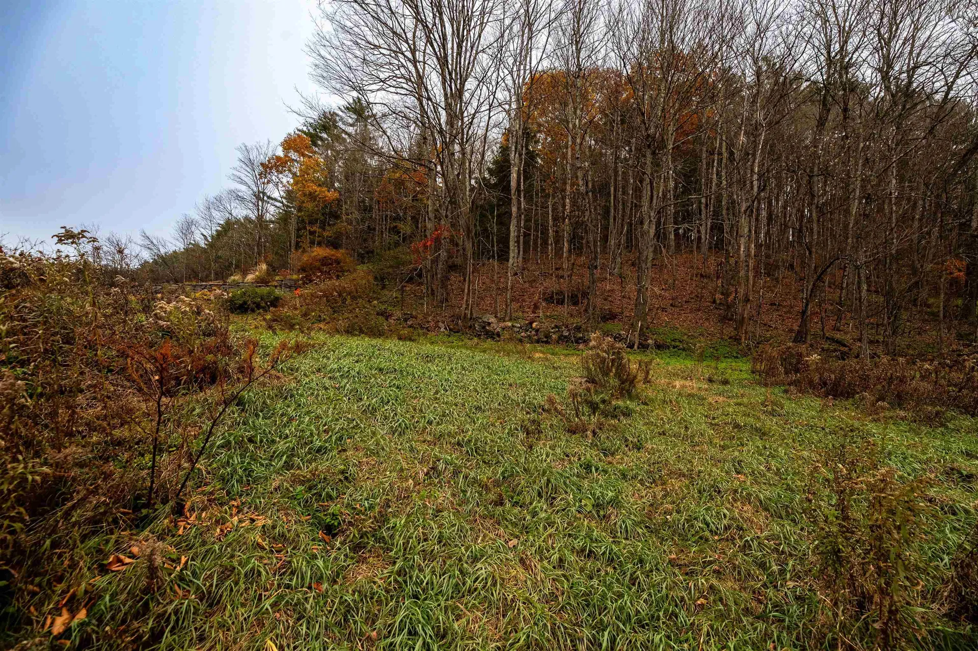 242 Justin Morrill Highway Strafford VT 05072