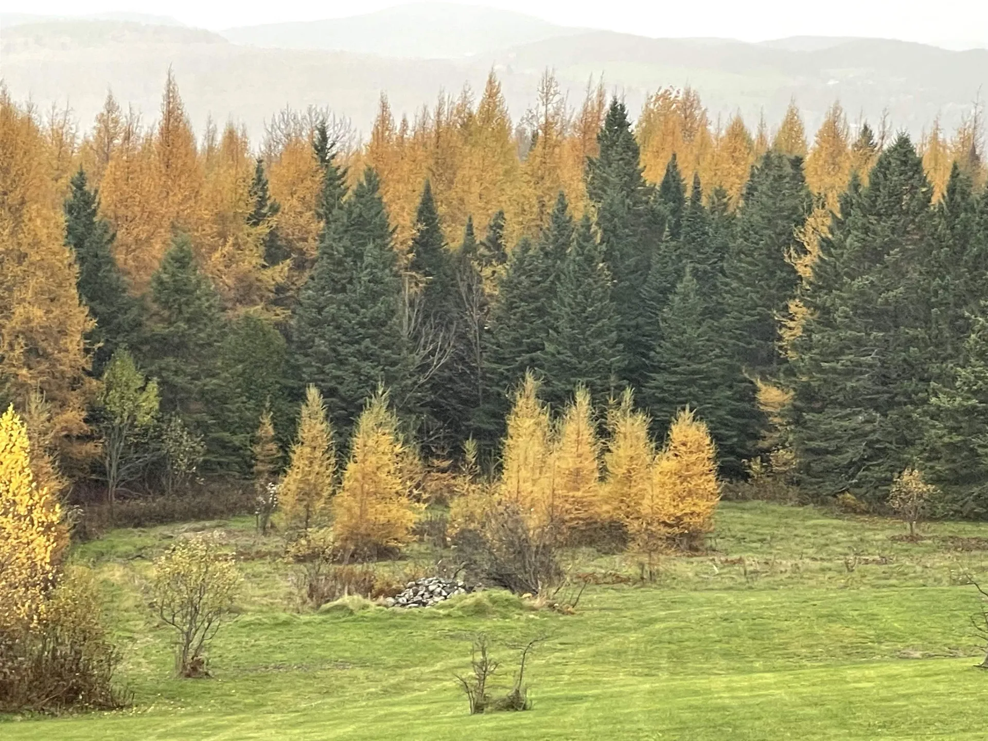 1999 Dexter Mountain Road Glover VT 05839