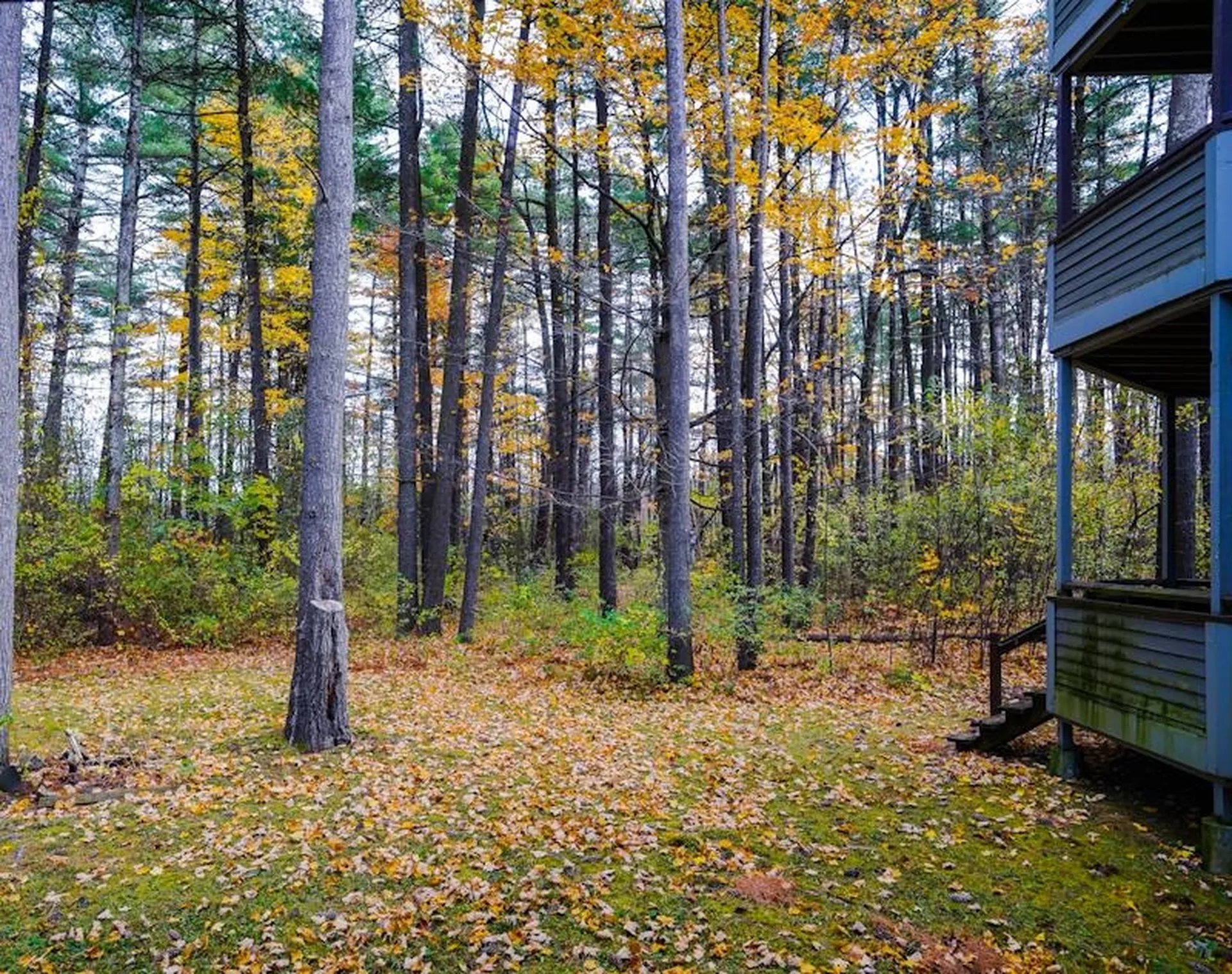 71 East Redrock Drive Burlington VT 05401