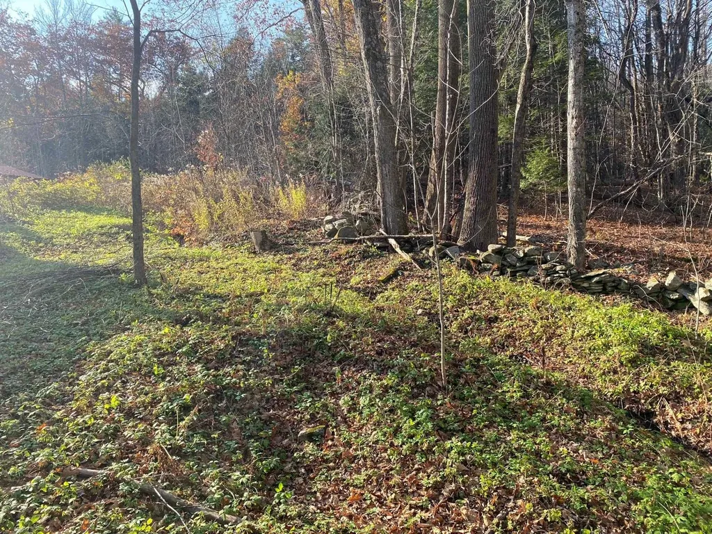 720 Harris Road Baltimore VT 05143