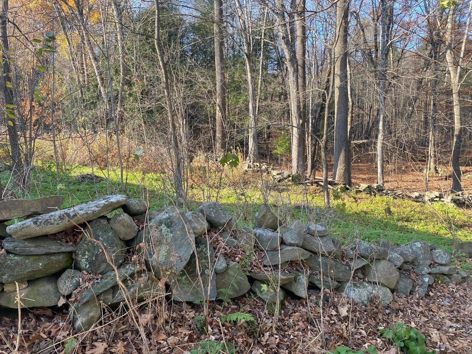 720 Harris Road Baltimore VT 05143