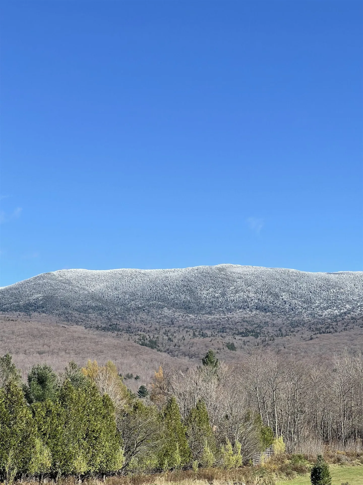 51 Wolf Lane Lincoln VT 05443