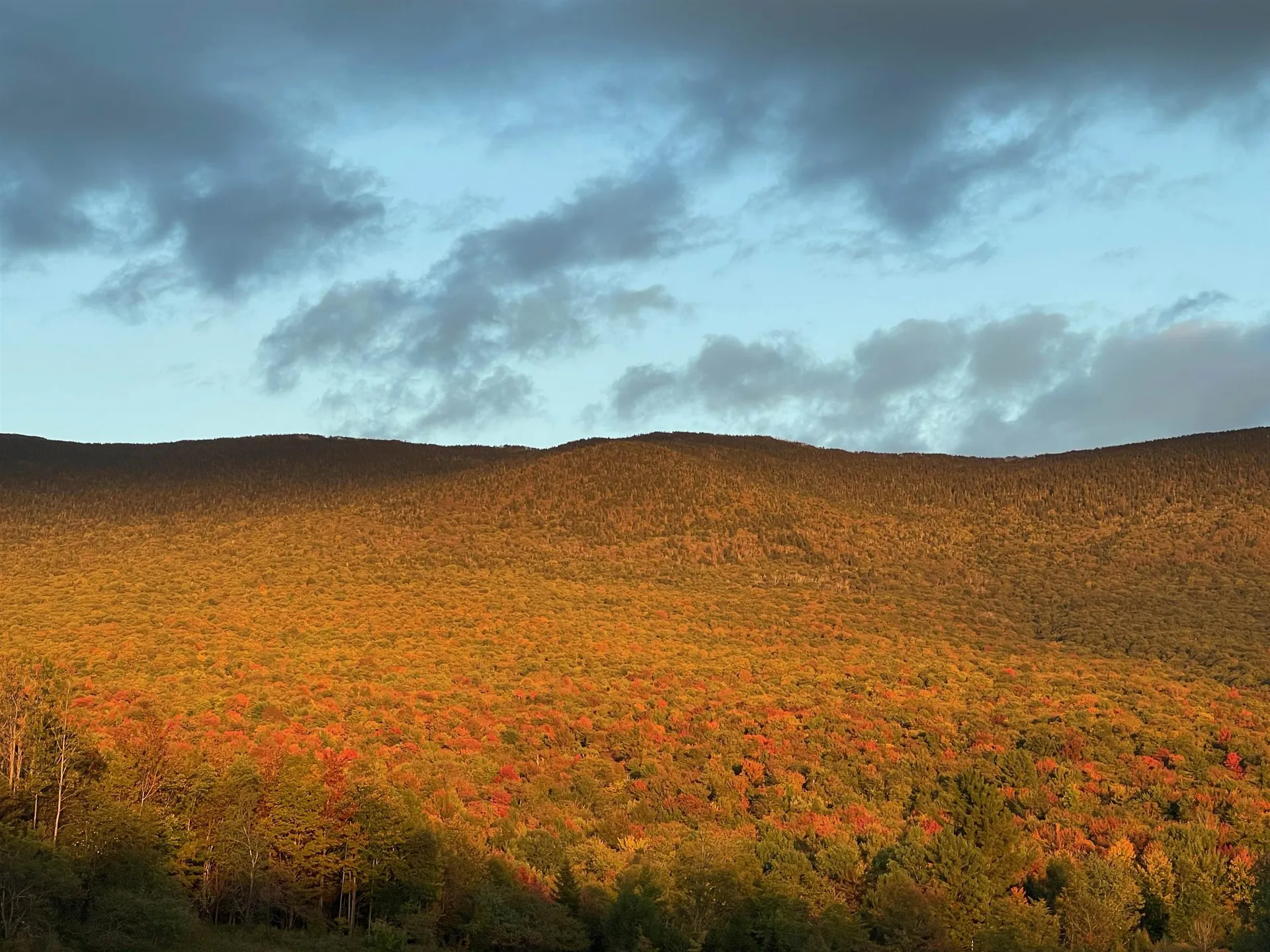 51 Wolf Lane Lincoln VT 05443