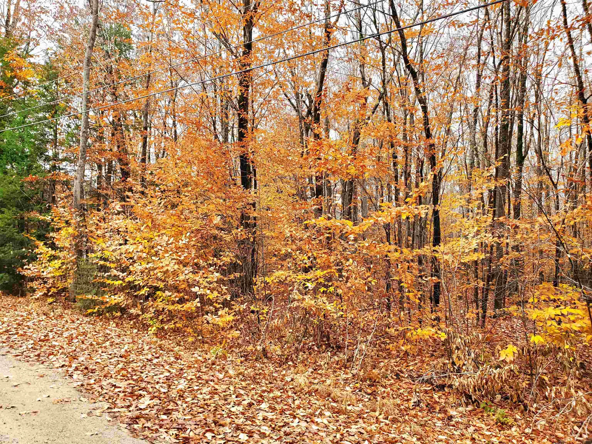 28 Woodcrest Drive Ossipee NH 03864