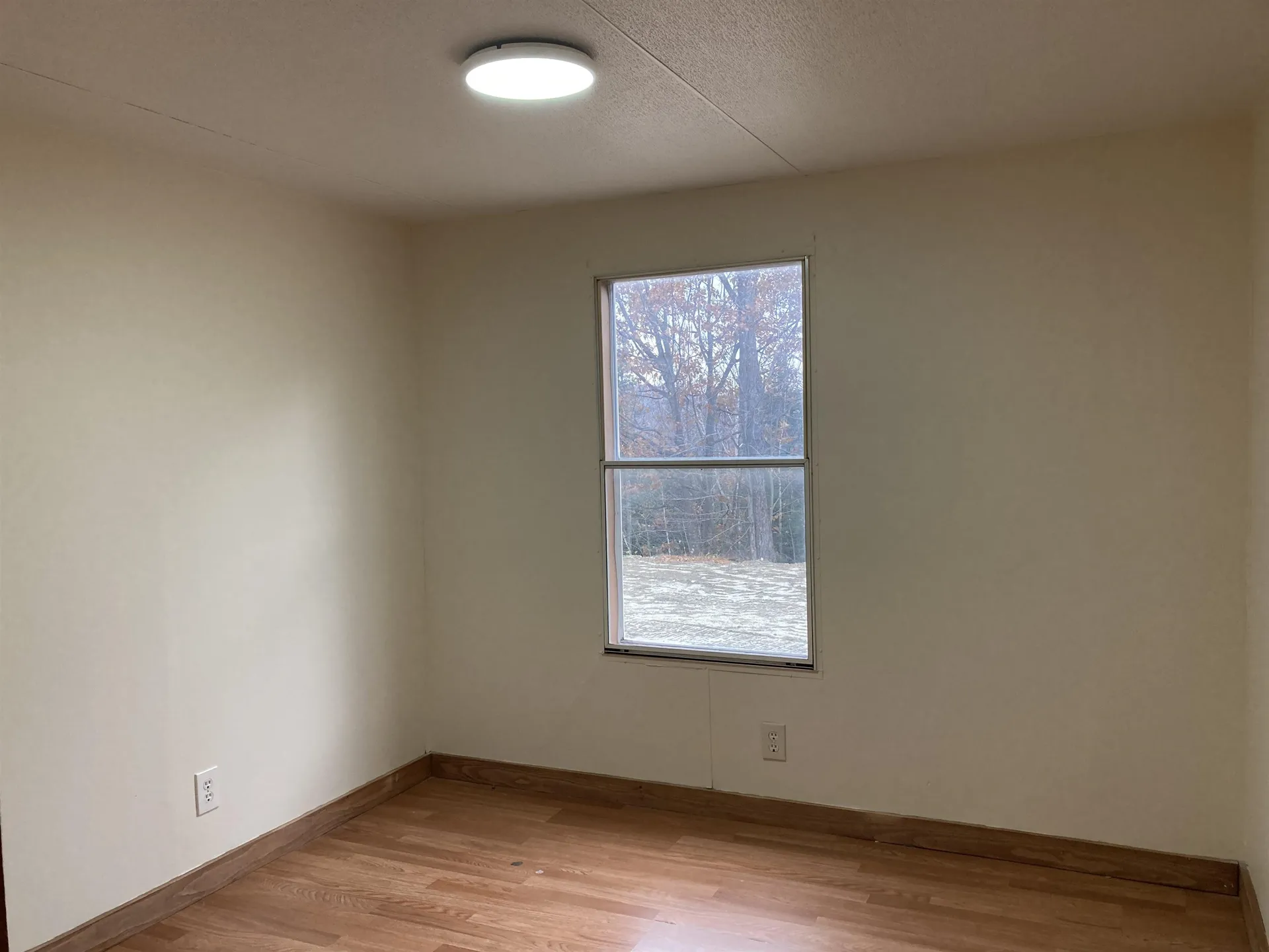 25 Birchwood Lane Canaan NH 03741