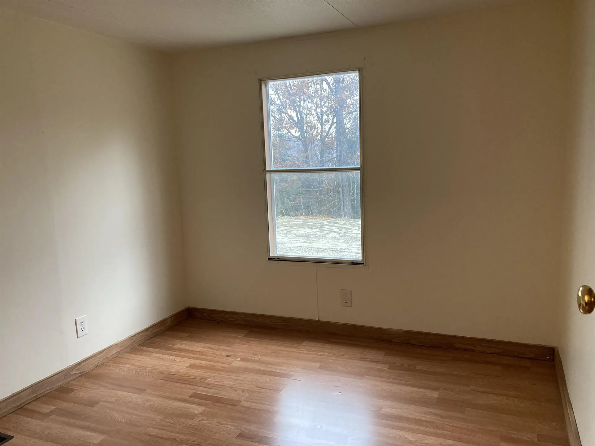 25 Birchwood Lane Canaan NH 03741