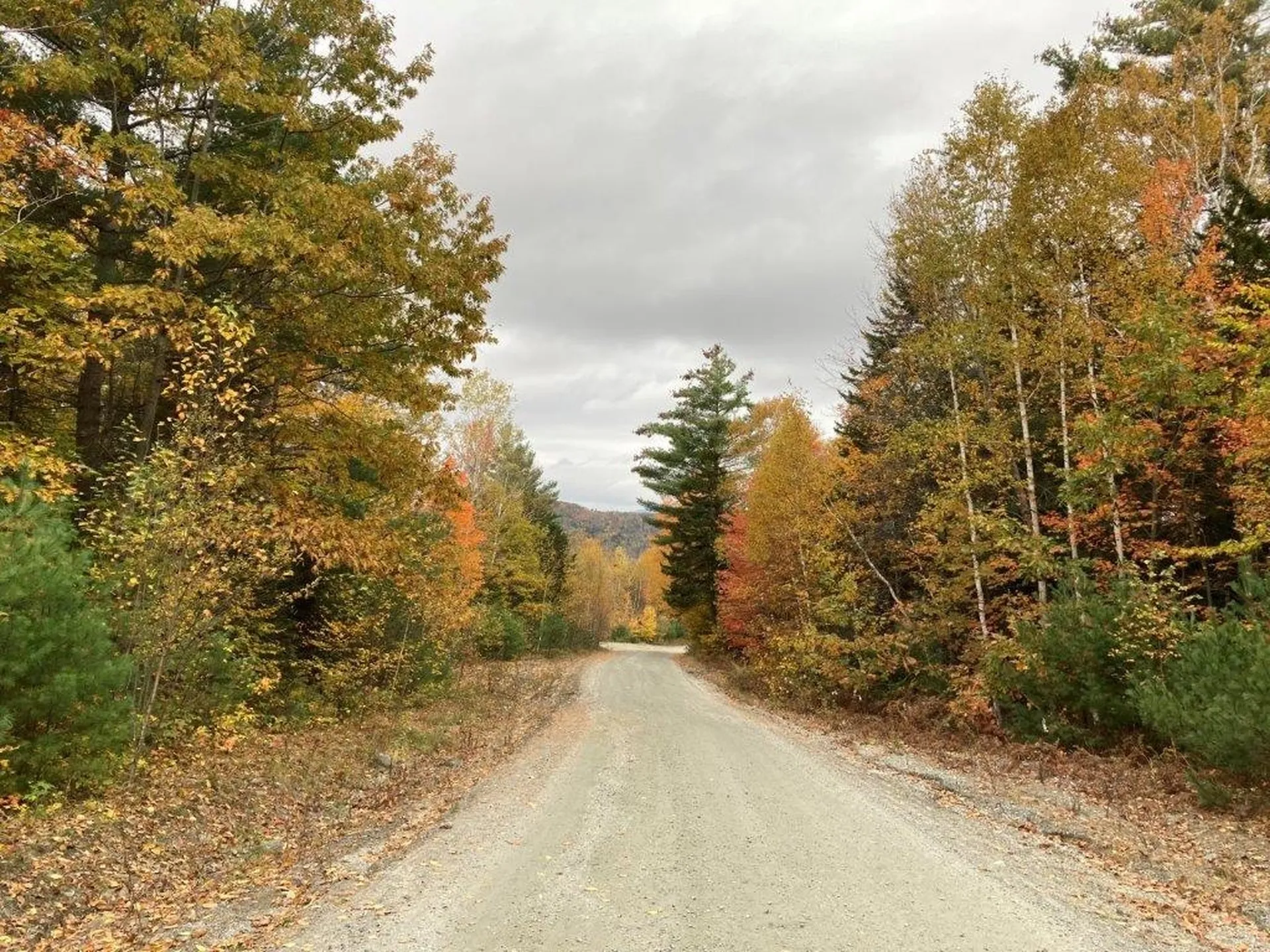 25 Birchwood Lane Canaan NH 03741