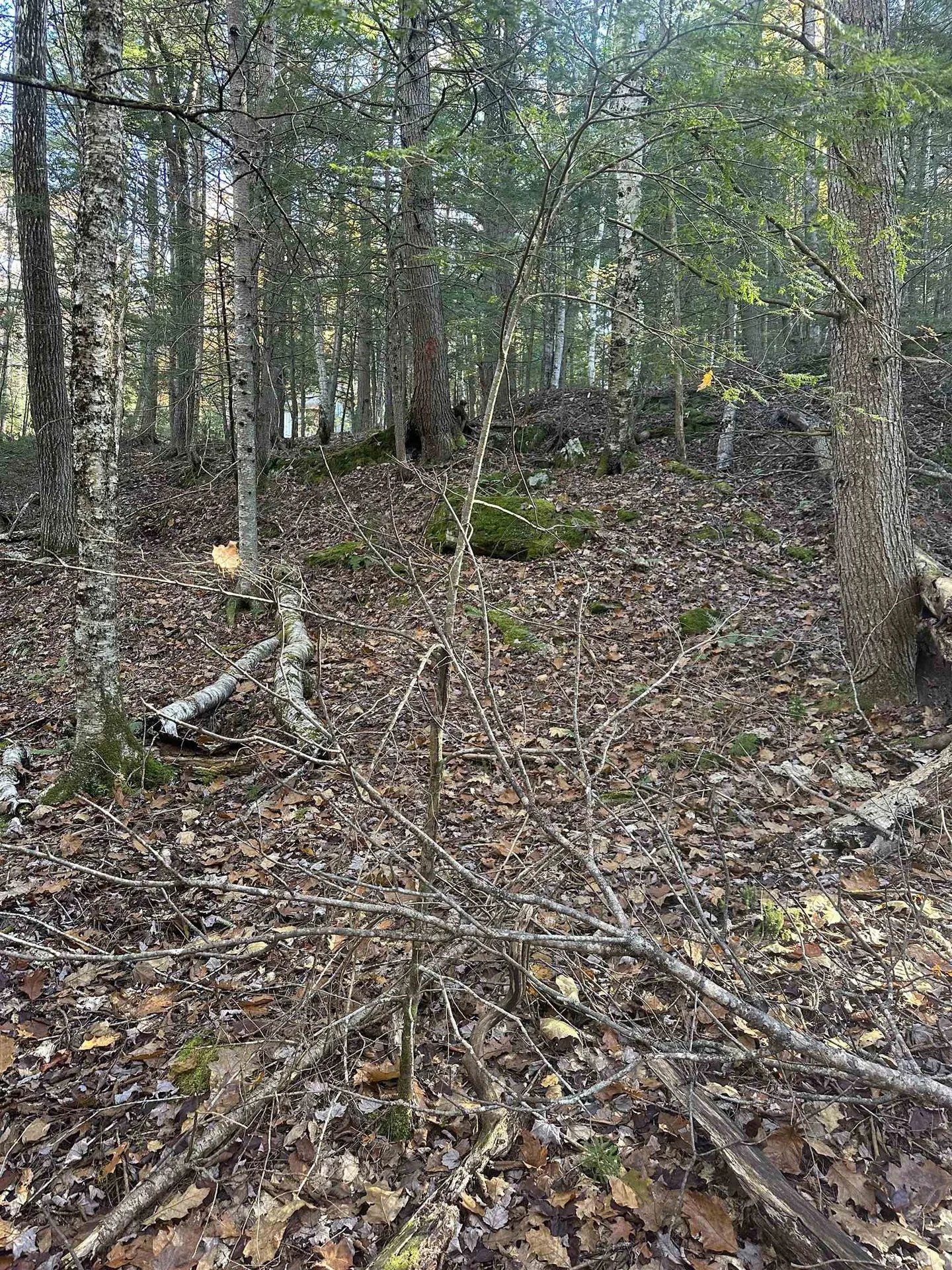 350 Mud Turtle Pond Road Orford NH 03777