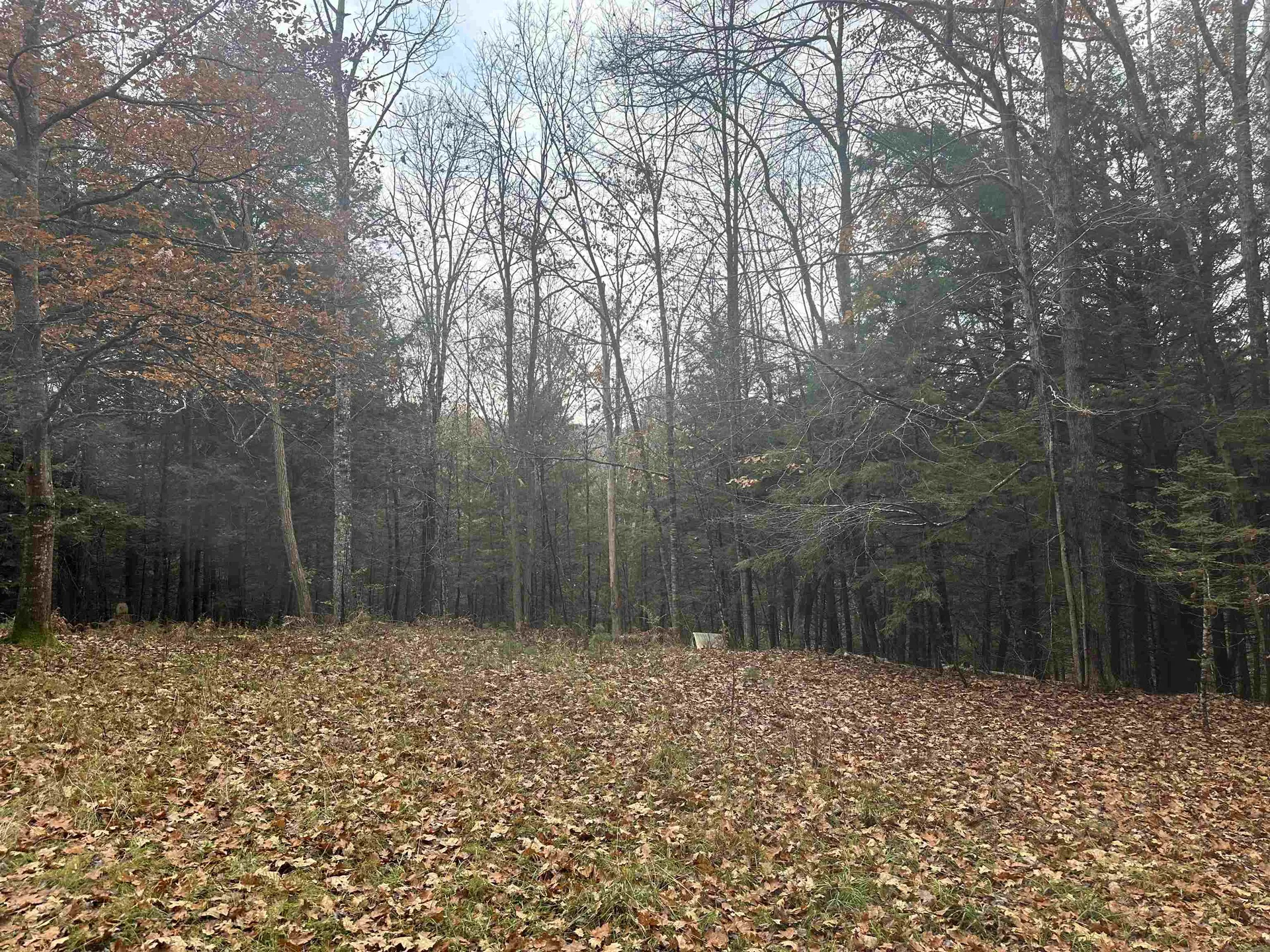 350 Mud Turtle Pond Road Orford NH 03777