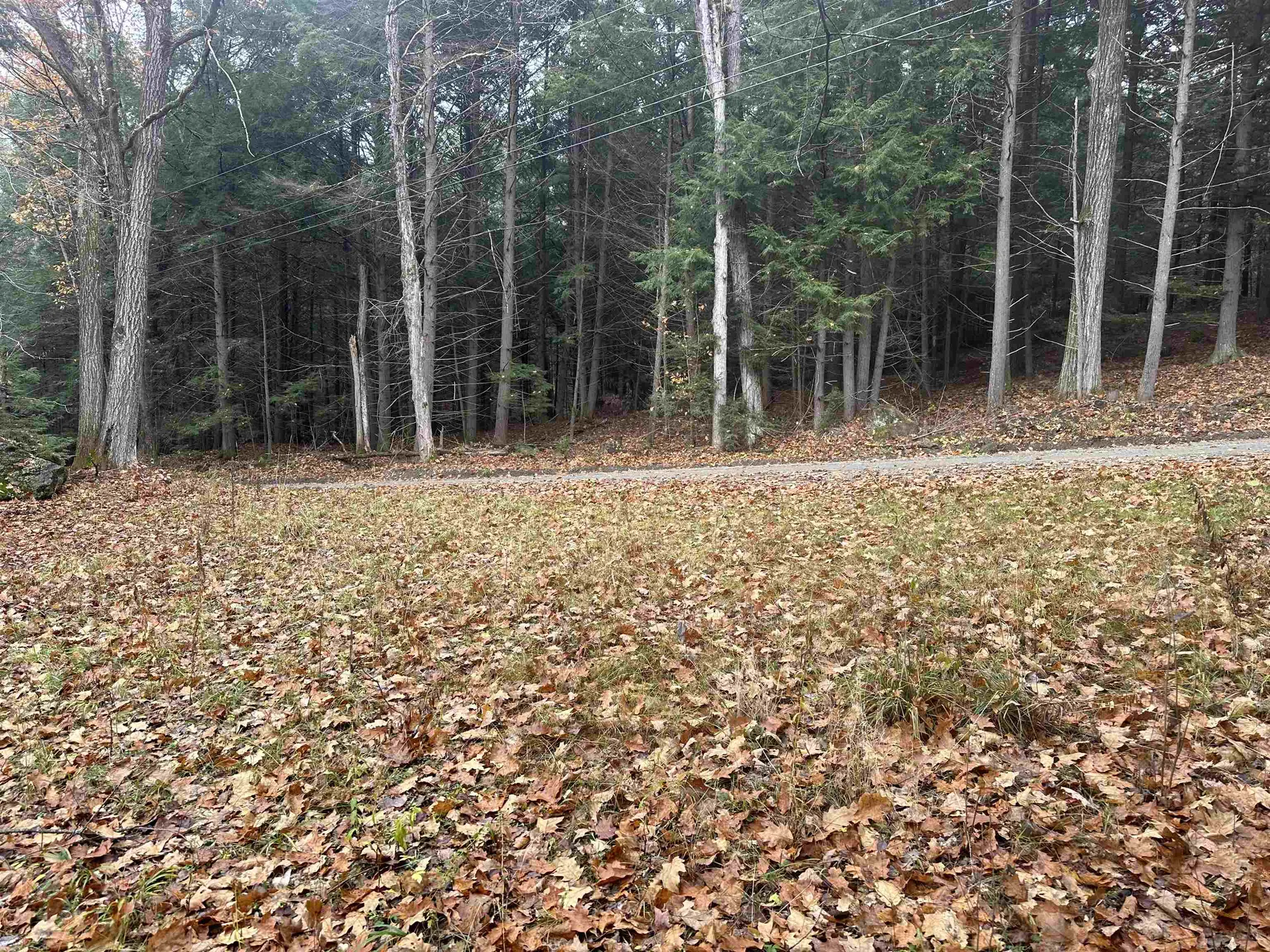 350 Mud Turtle Pond Road Orford NH 03777