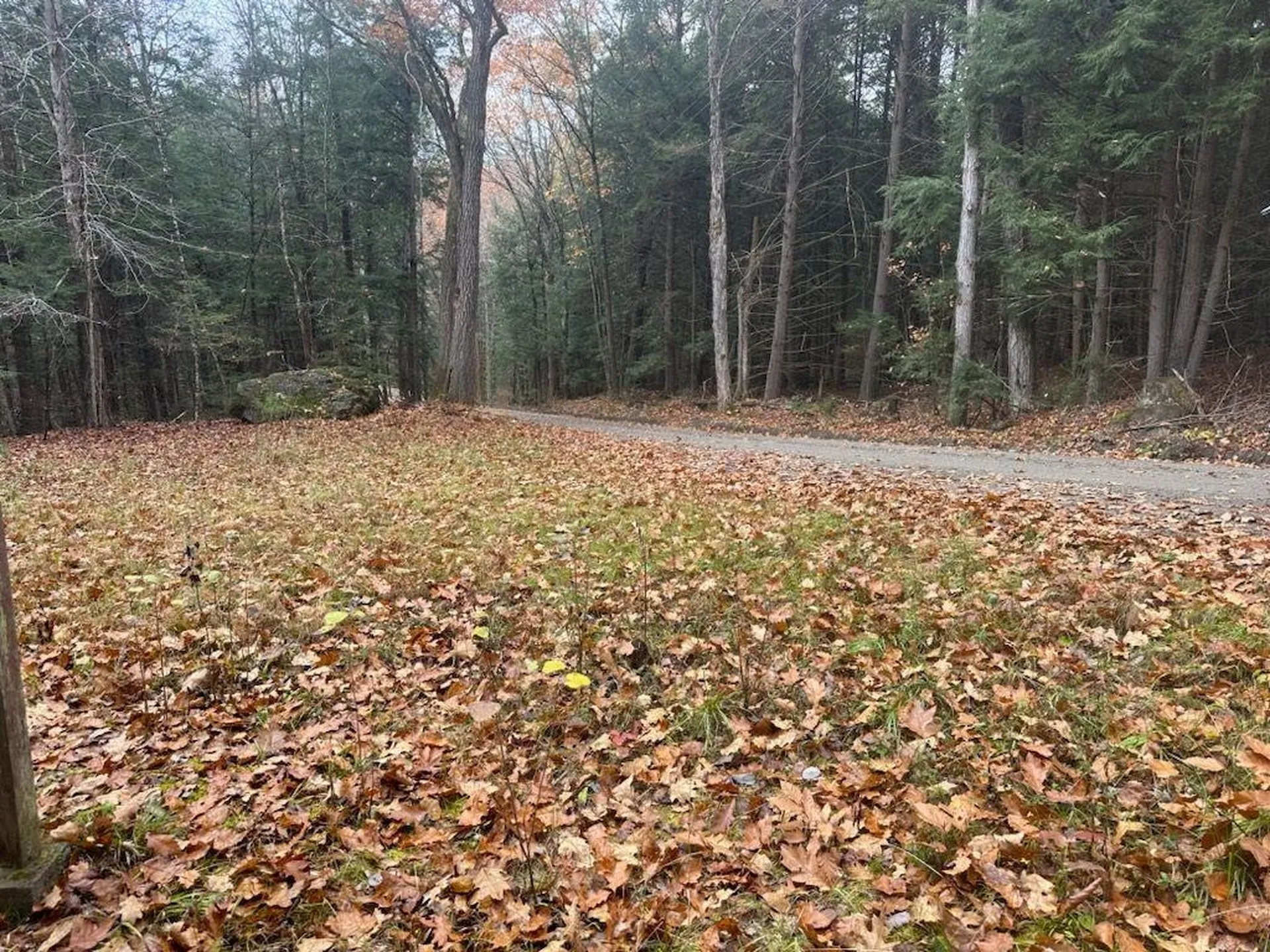 350 Mud Turtle Pond Road Orford NH 03777