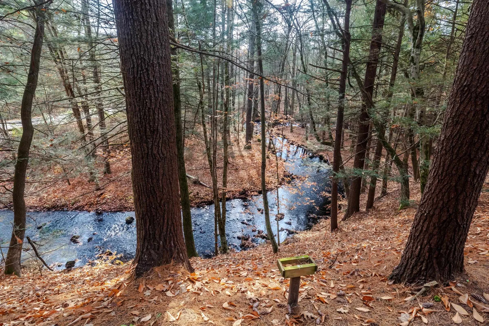 15 Sargent Drive Raymond NH 03077