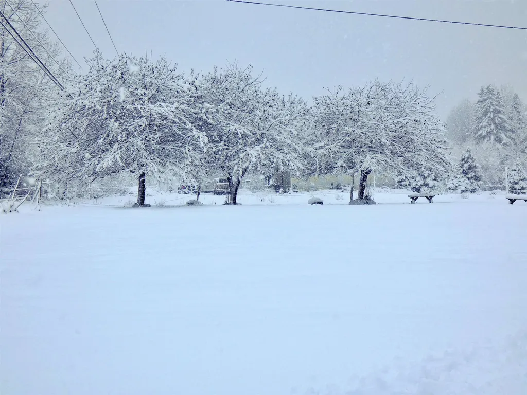 2966 Pepin Road Brownington VT 05860