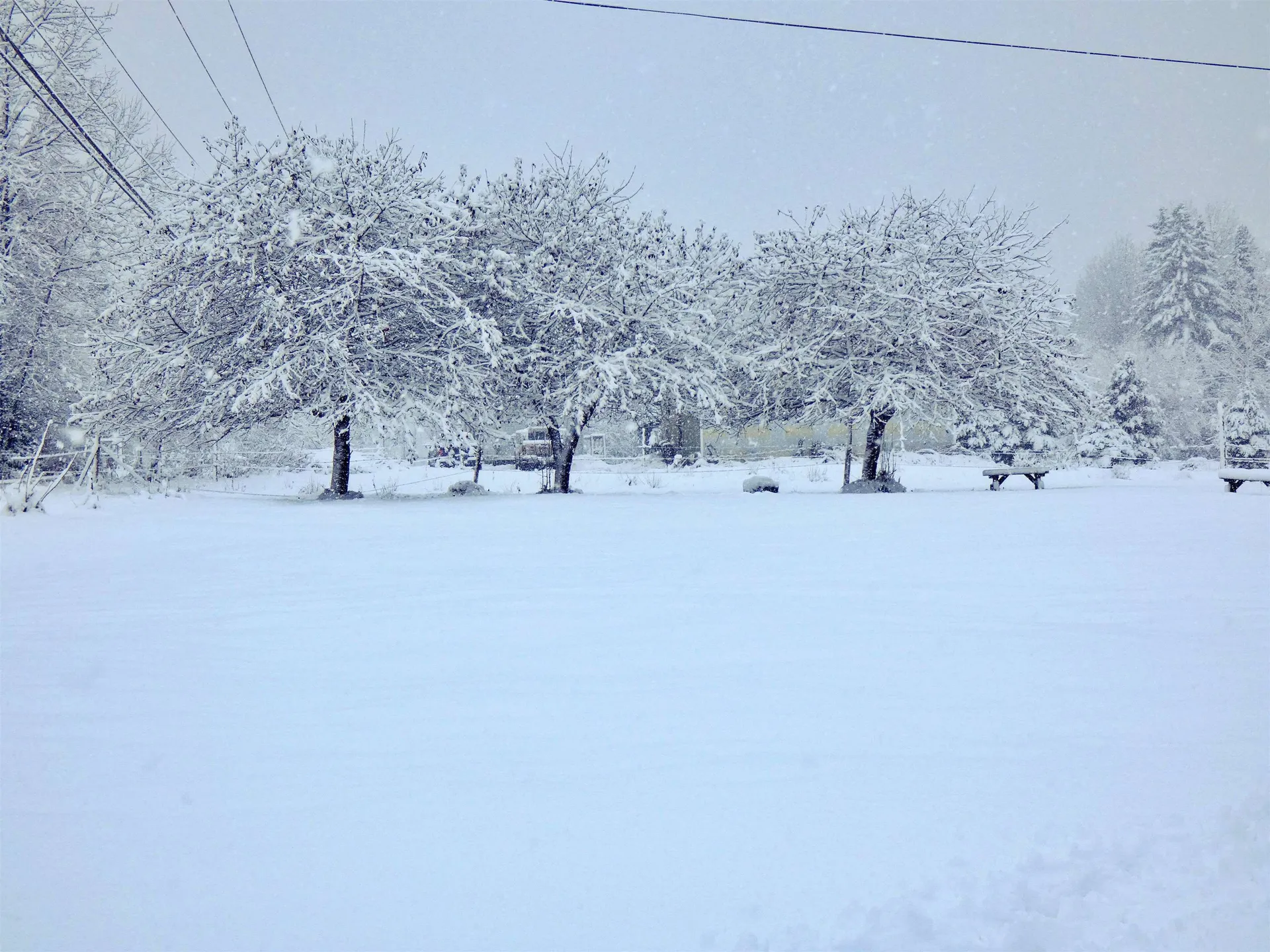 2966 Pepin Road Brownington VT 05860