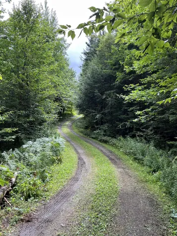 1947 Buck Hill Road Westfield VT 05874