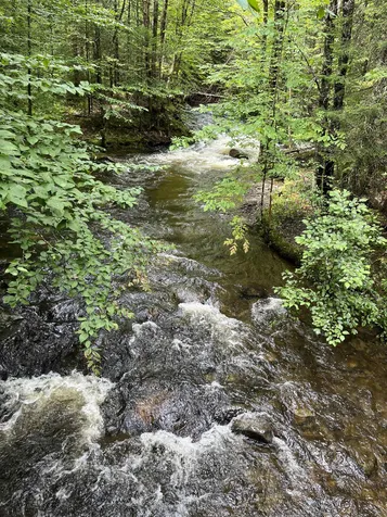 1947 Buck Hill Road Westfield VT 05874